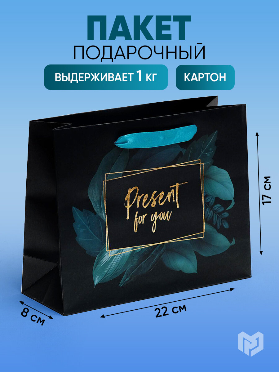 Пакет подарочный ламинированный «Present for you», 22 × 17.5 × 8 см