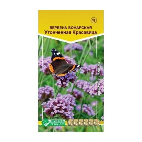 Вербена бонарская Утонченная Красавица / 5 семян/Евросемена/ бор развесистый золотые стрелы 5 семян евросемена