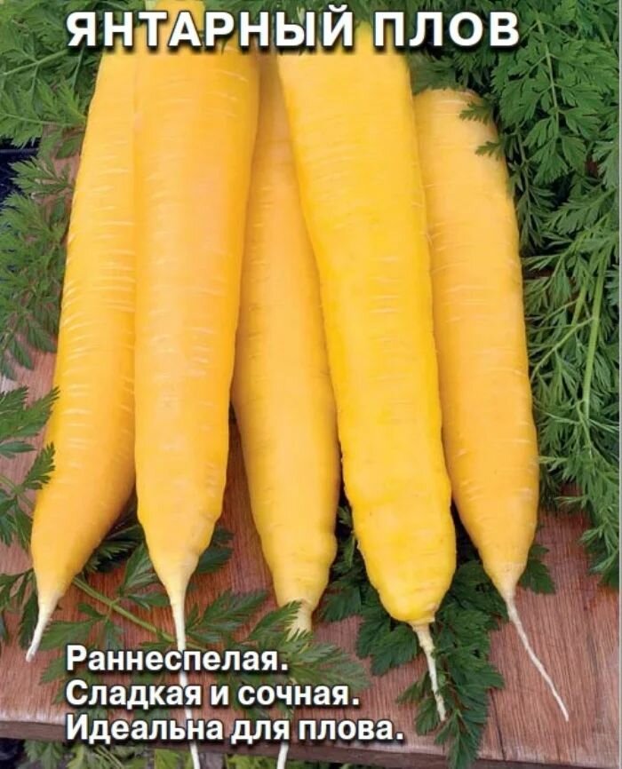 Коллекционные семена моркови Янтарный Плов