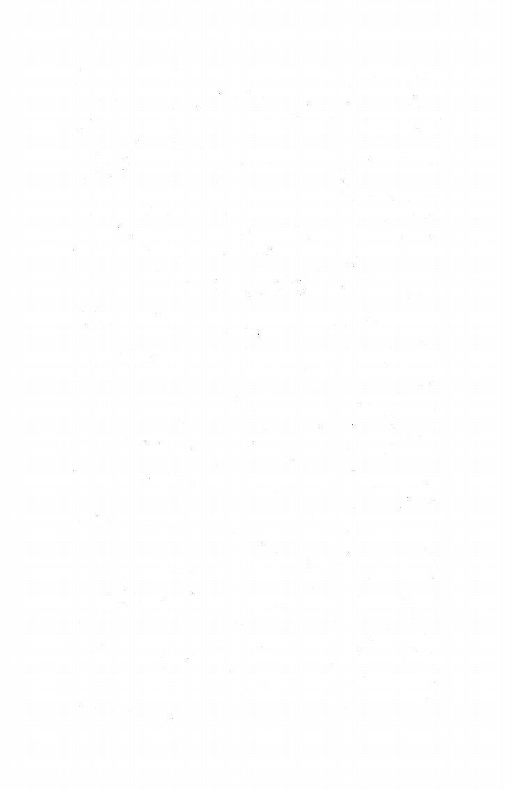 The Secret (R. L. Stine, Patricia MacDonald) - фото №10
