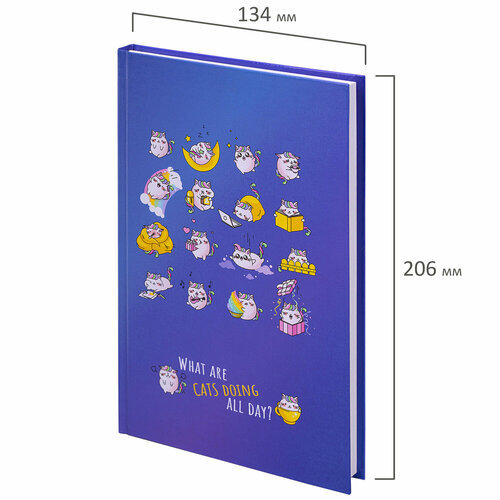 Упаковка 5 шт. Блокнот А5 (134х206 мм), 80 л, твёрдый, клетка, BRAUBERG KIDS, 