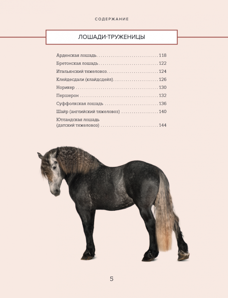 Лошади. Иллюстрированный гид по самым популярным породам - фото №4