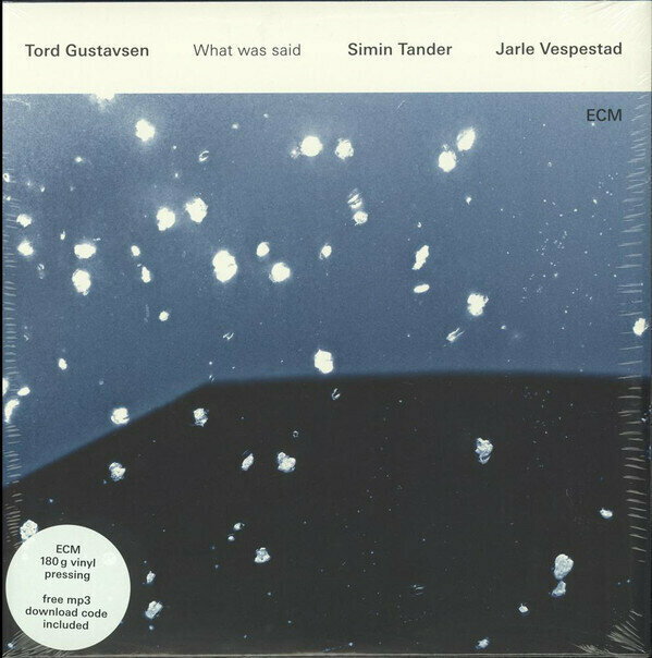 Виниловая пластинка Tord Gustavsen, Simin Tander & Jarle Vespestad: What Was Said (180g)