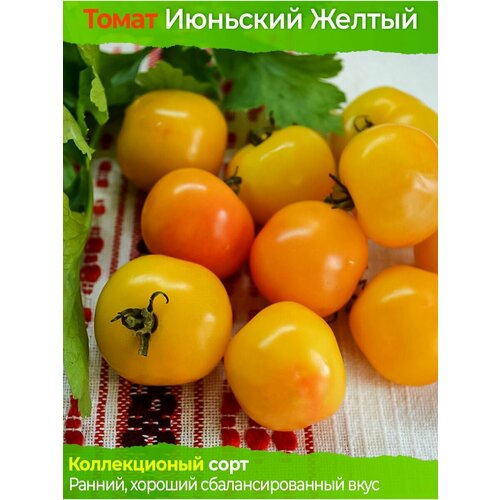 Томат Июньский Желтый - коллекционный сорт