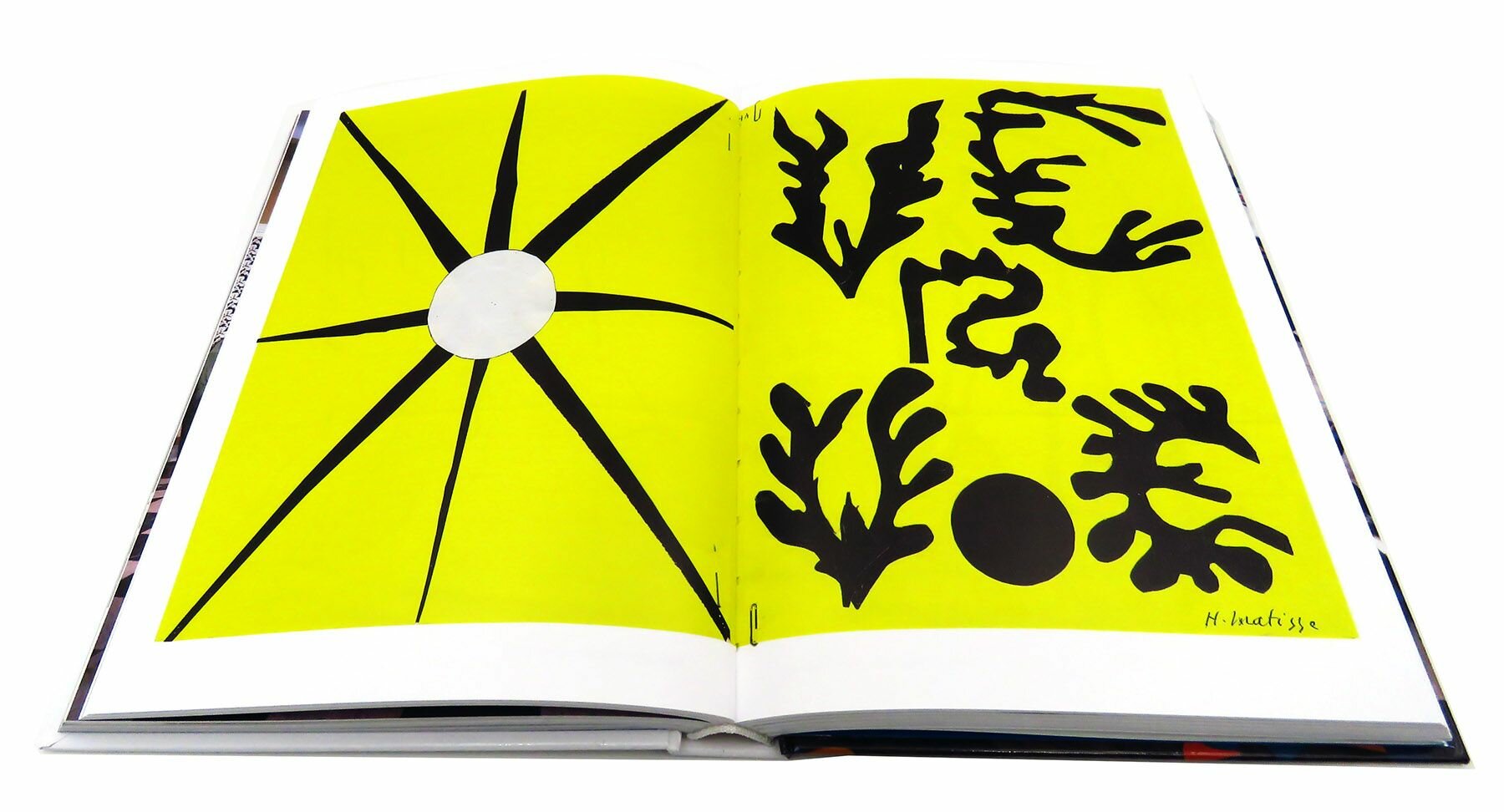 Matisse. Cut-outs (Neret Gilles) - фото №13