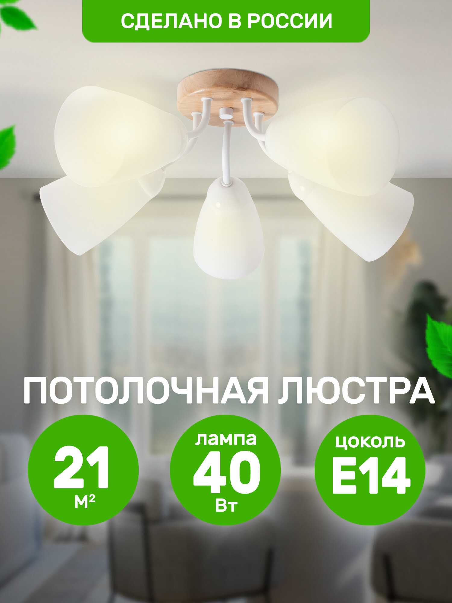 фото Тюльпан5