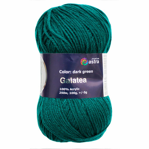 Пряжа для вязания Astra Premium Галатея 100гр. 250м (100% акрил) (07 темно-зеленый), 3 мотка