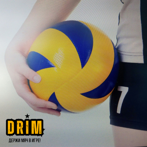 Тренировочный волейбольный мяч MVA300-TR (любительский)