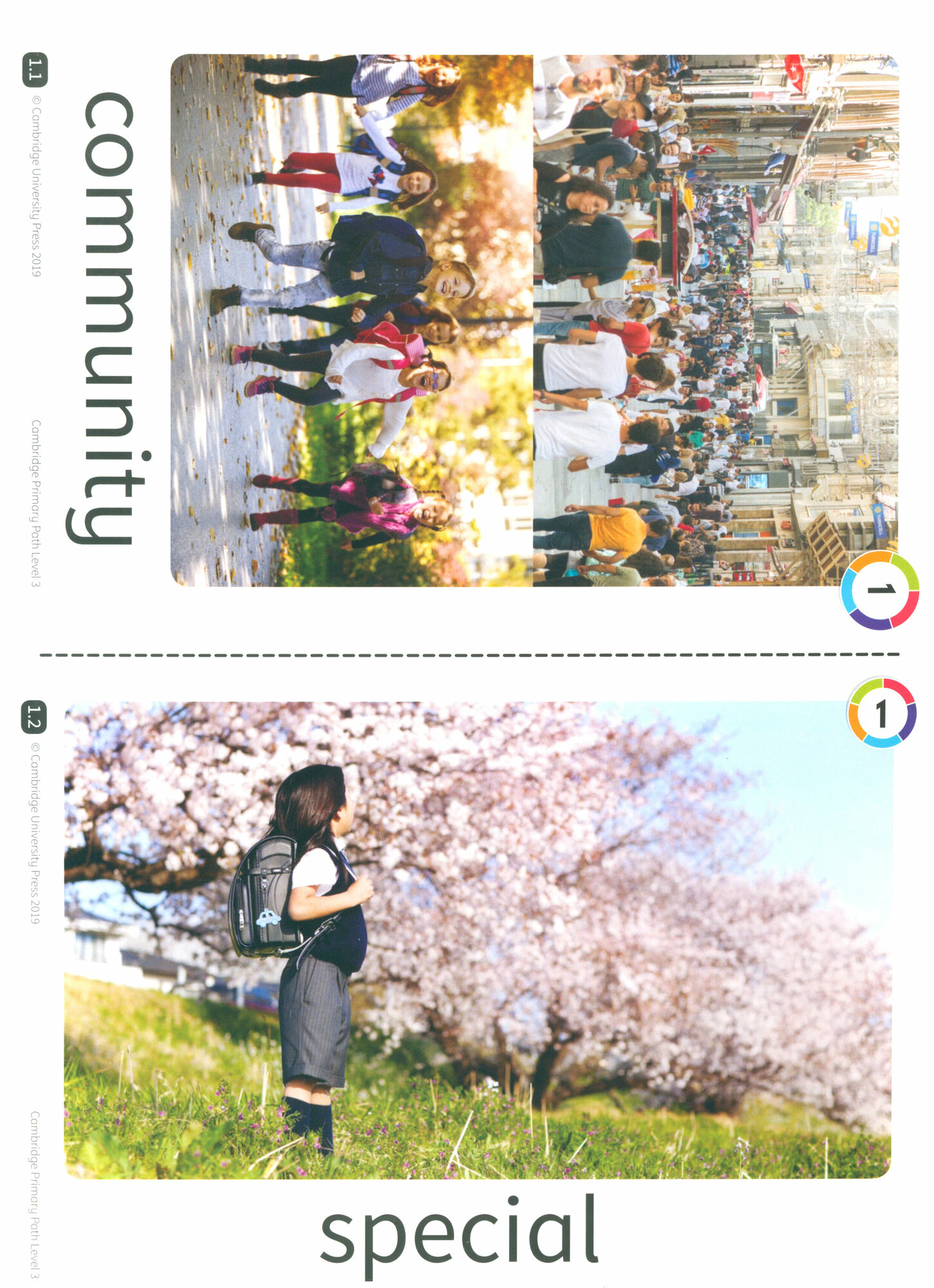 Книга Cambridge Primary Path 3. Flashcards - фото №2