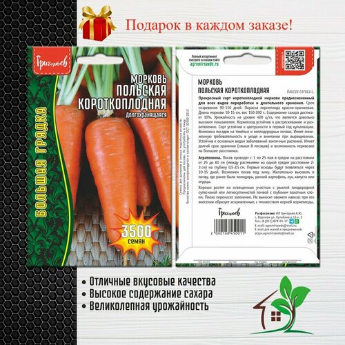 Морковь Польская Короткоплодная (2 упаковки)