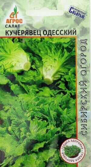 Семена Салат Кучерявец одесский 03г (Агрос)