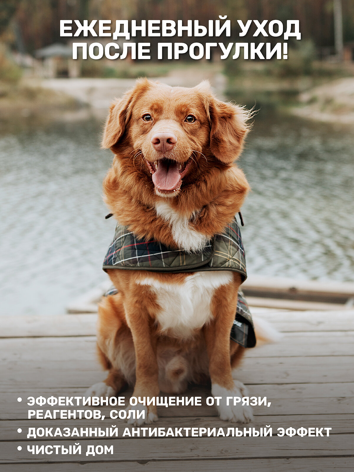 Гель-мыло для мытья лап / ZOORIK / Зурик / защита и питание с экстрактом золотой сосны и гидролатом монарды 500 мл — фото 1