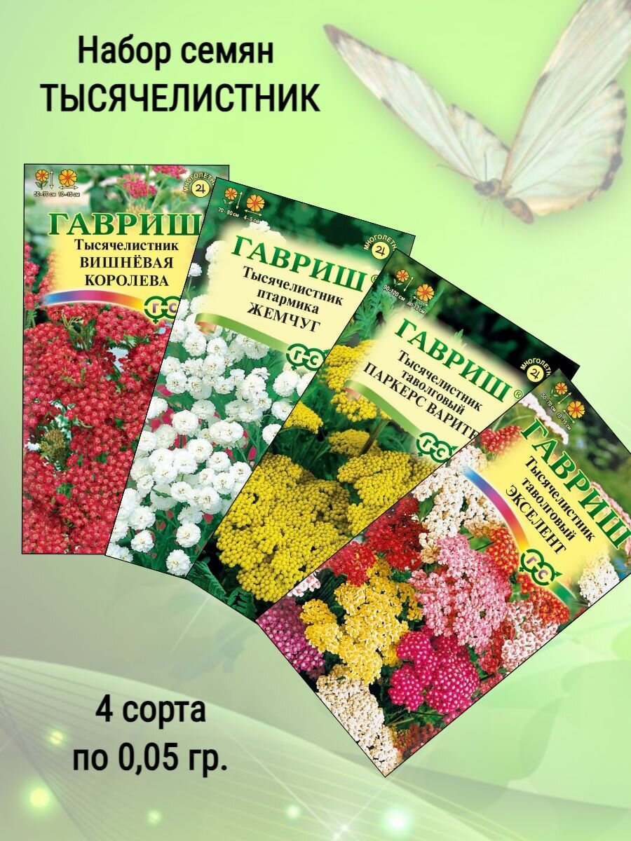 Семена Тысячелистник 4 сорта