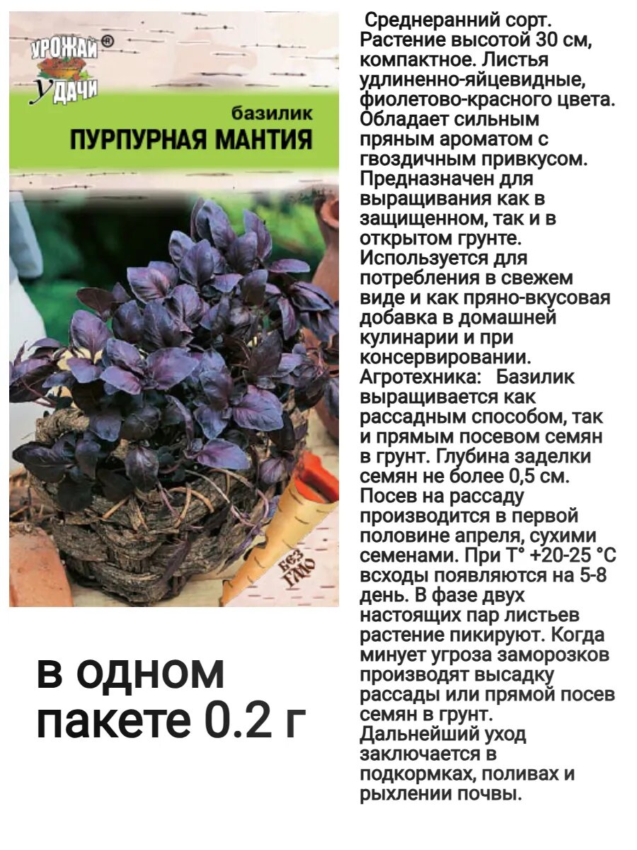 Семена базилика на подоконнике фиолетовый для посадки