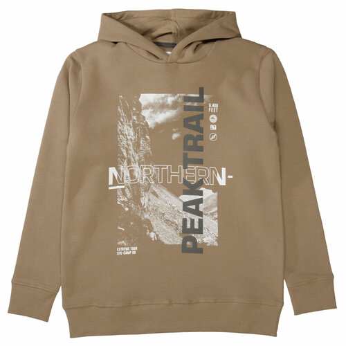 фото Худи staccato, размер 176, коричневый