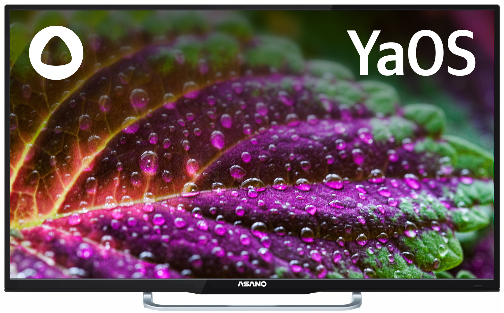 Телевизор Asano 55" 55LU8130S - фото №1