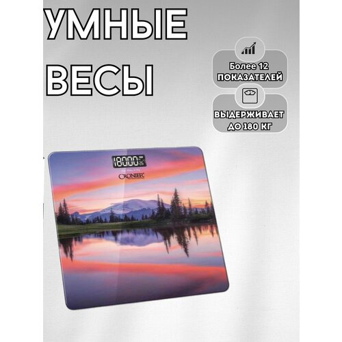 Напольные электронные весы