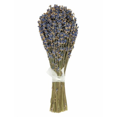 Букет натуральной Лаванды сухоцвет, 18 см