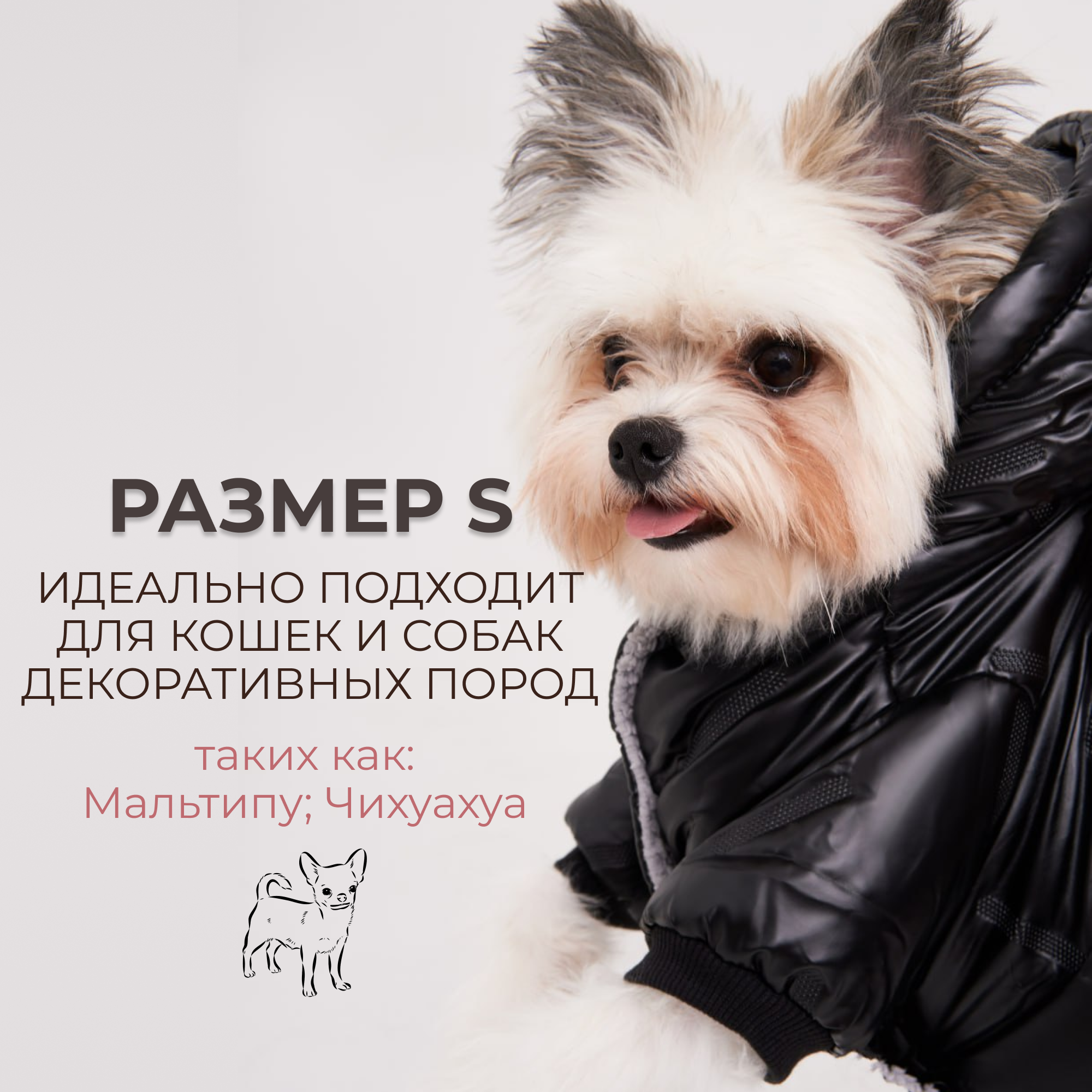 Куртка комбинезон для собак мелких пород утепленный - фотография № 3