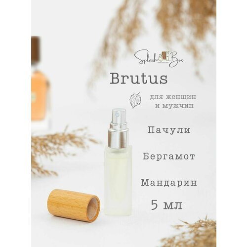 Brutus духи стойкие