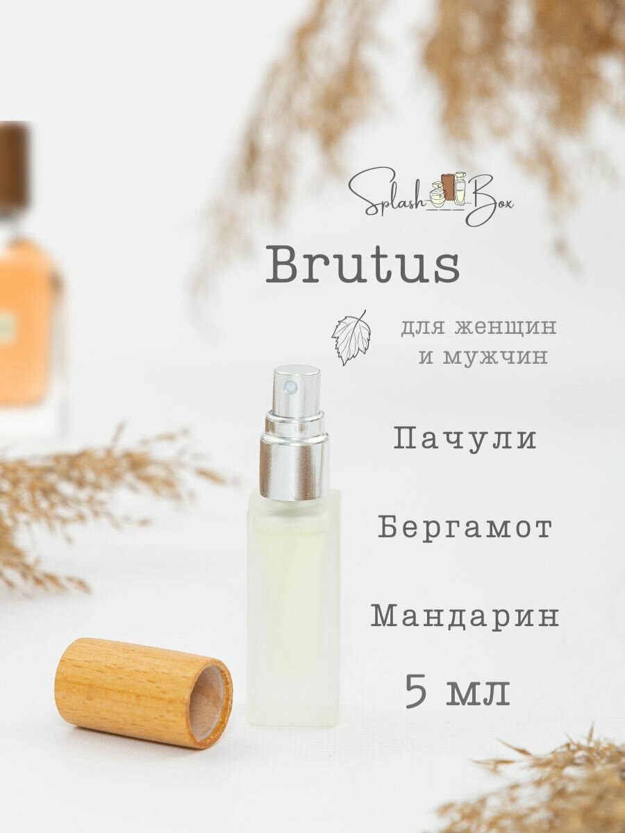 Brutus духи стойкие