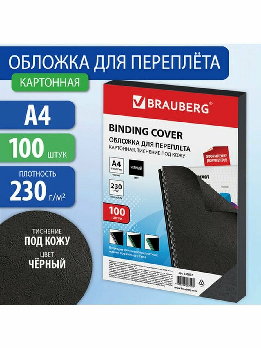 Обложка BRAUBERG - фото №17