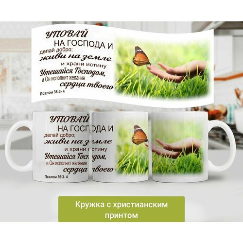 черный, белый, зеленый, оранжевый, коричневый