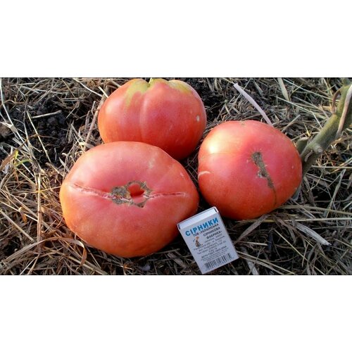 Коллекционные семена томата Сумочный