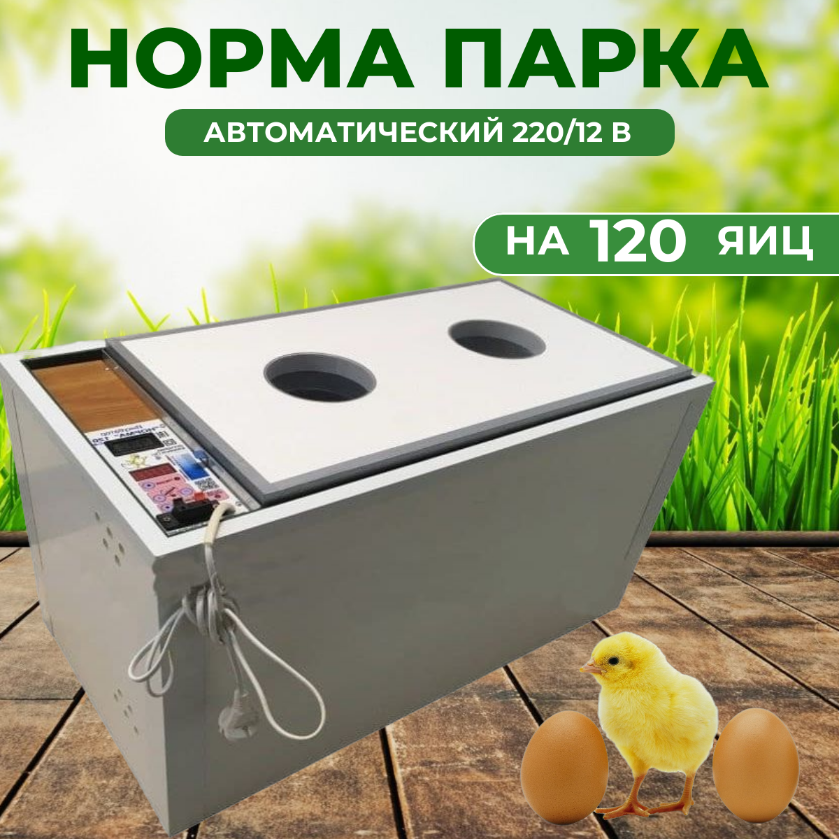 Инкубатор Блиц-норма Парка на 120 яиц (220/12В)