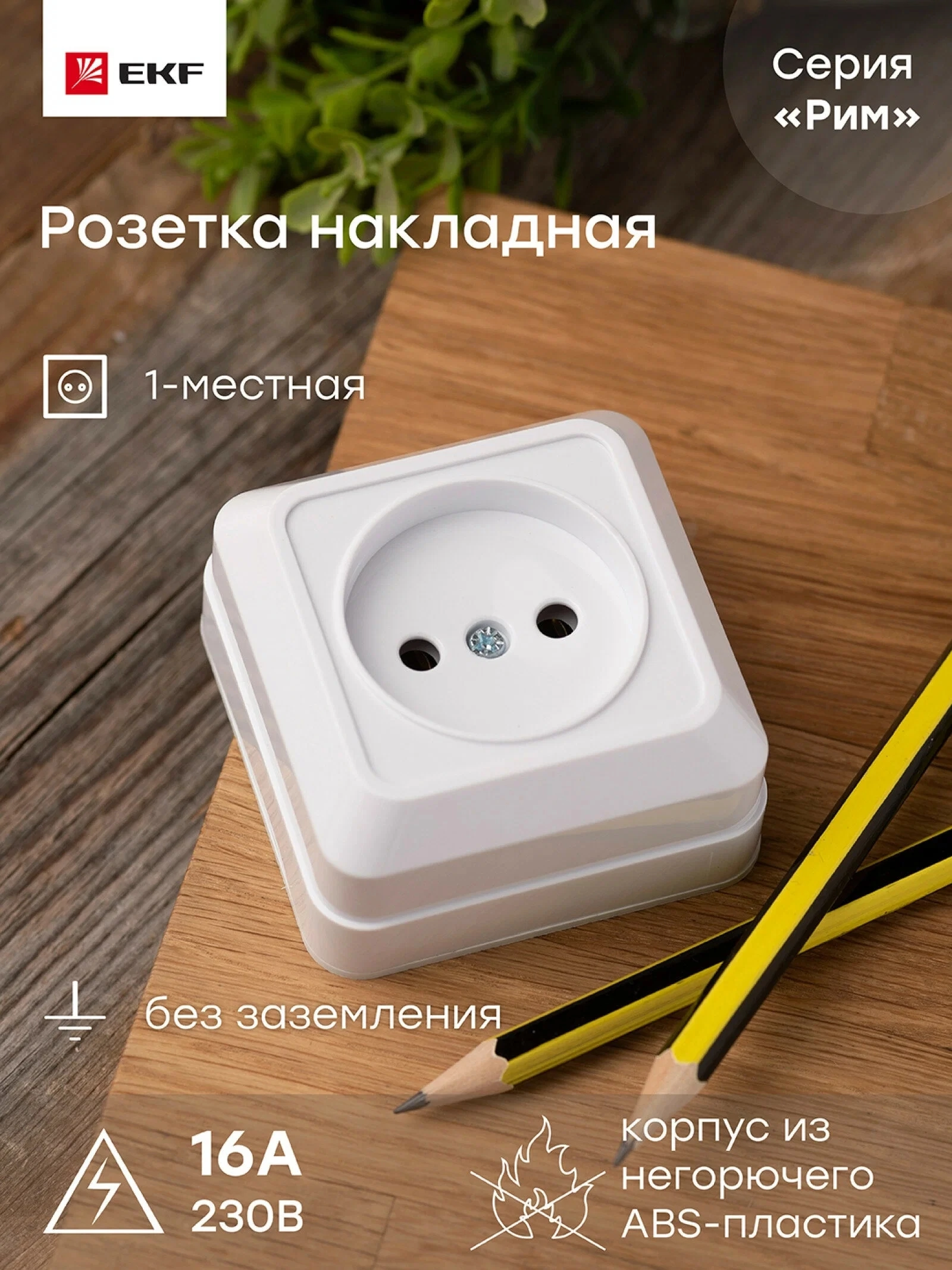 ENR10-022-10 Рим Розетка 1-местная 10А без заземления белая EKF - фото №2