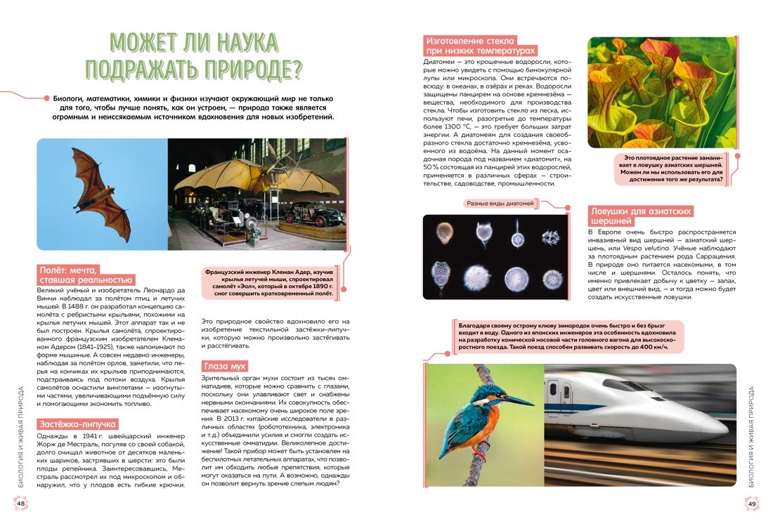 Школьная энциклопедия. 50 неразгаданных загадок науки - фото №8