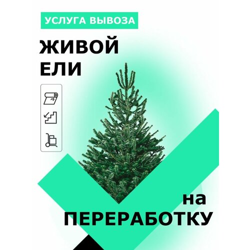левитанский диалог у новогодней елки Сертификат на вывоз новогодней елки на переработку