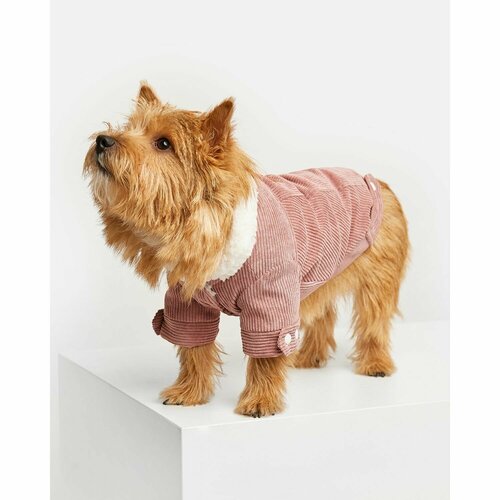 Куртка для собак Zoozavr розовая 35