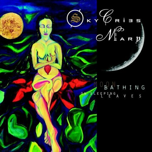 Компакт-диск Warner Sky Cries Mary – Moonbathing On Sleeping Leaves компакт диск warner leaves eyes – vinland saga