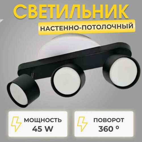 Светильник поворотный настенно-потолочный RG-CL3601B черный GX53