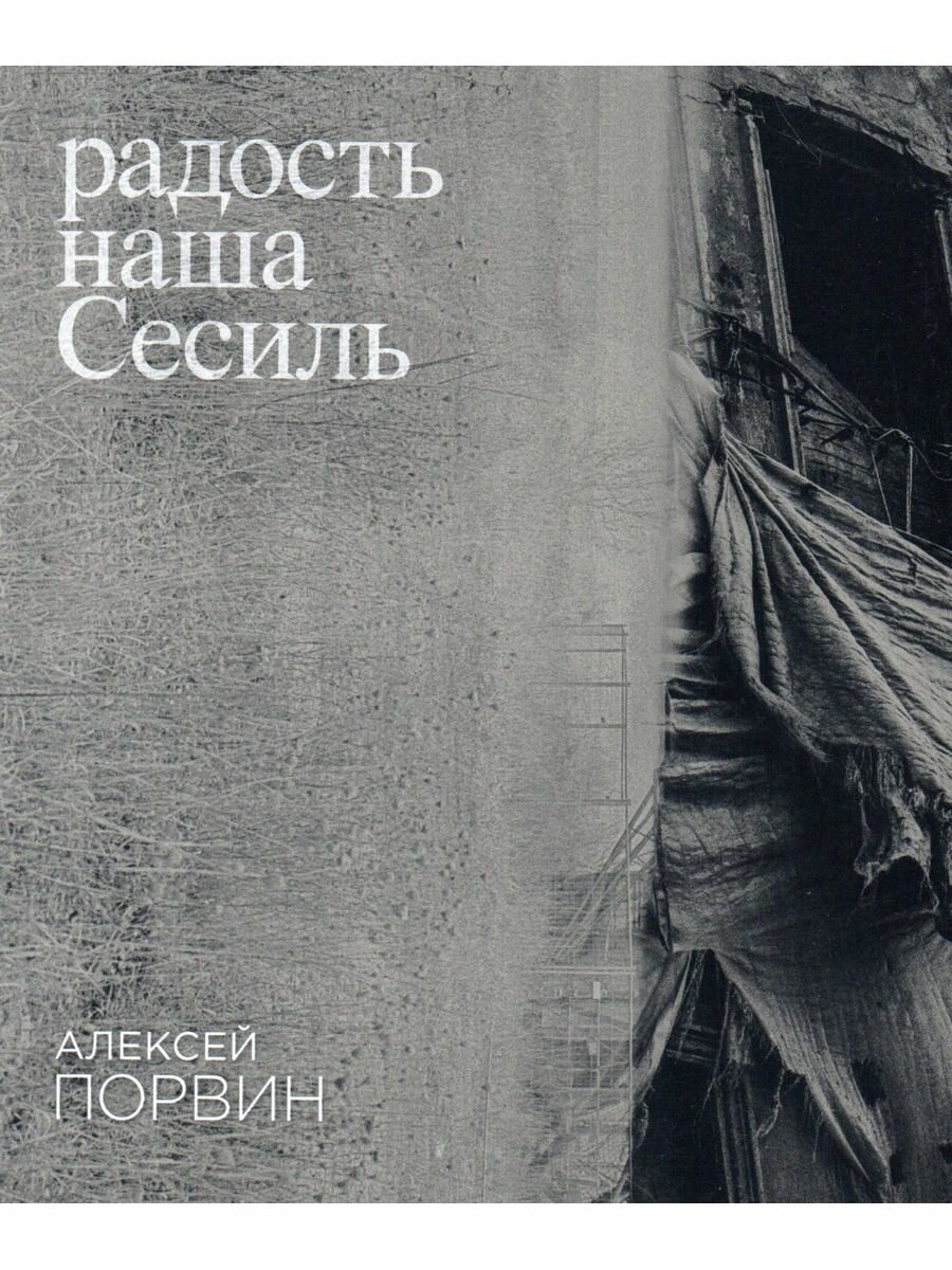 Радость наша Сесиль (Порвин А.) - фото №13