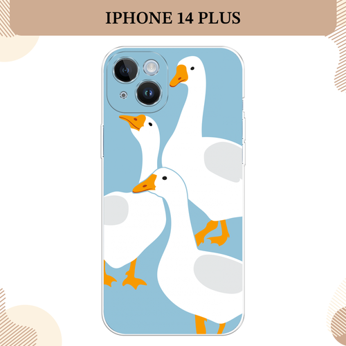 серый, белый, желтый, голубой