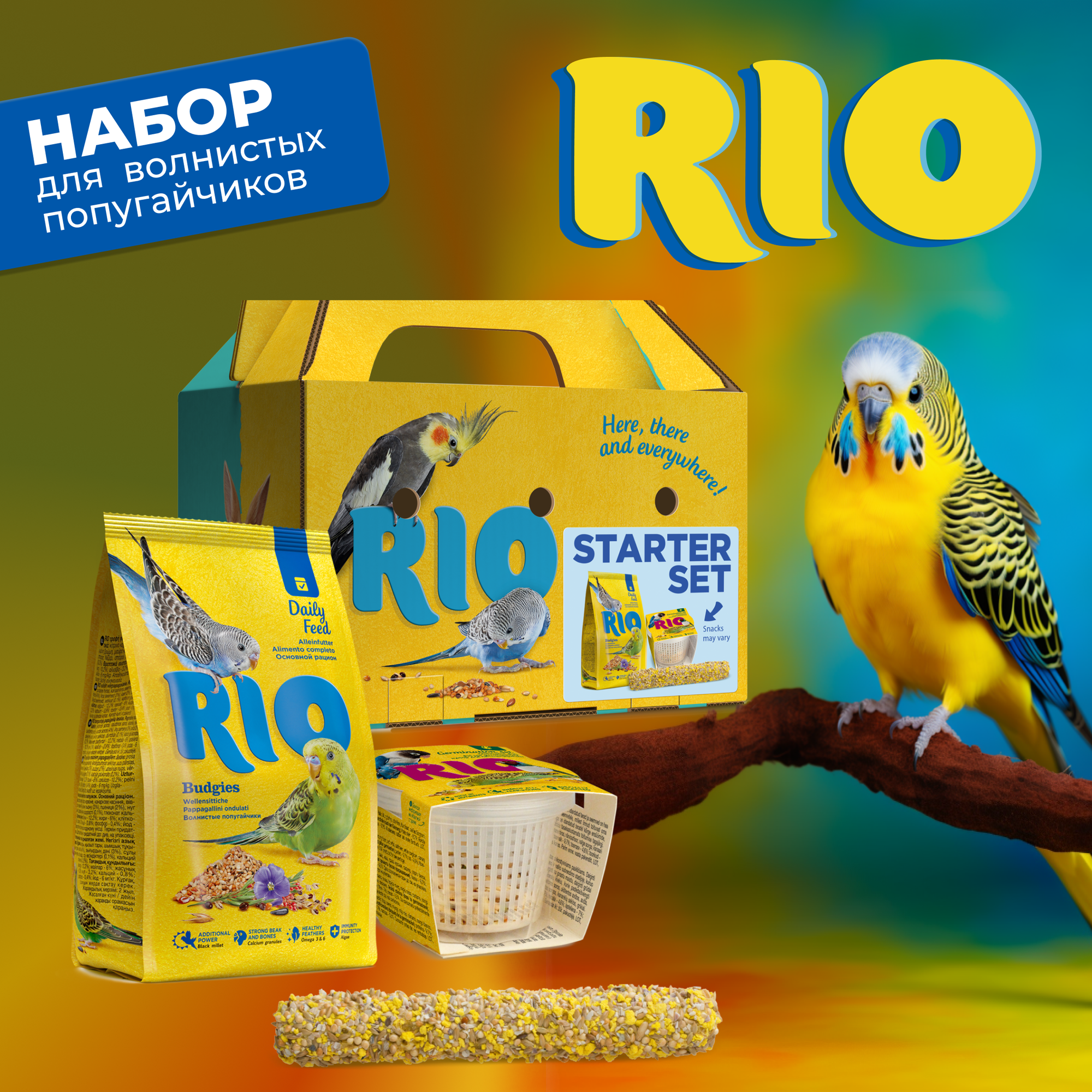 RIO Стартовый набор владельца волнистого попугайчика: картонная переноска, корм для волнистых попугайчиков, набор для проращивания, палочка для птиц