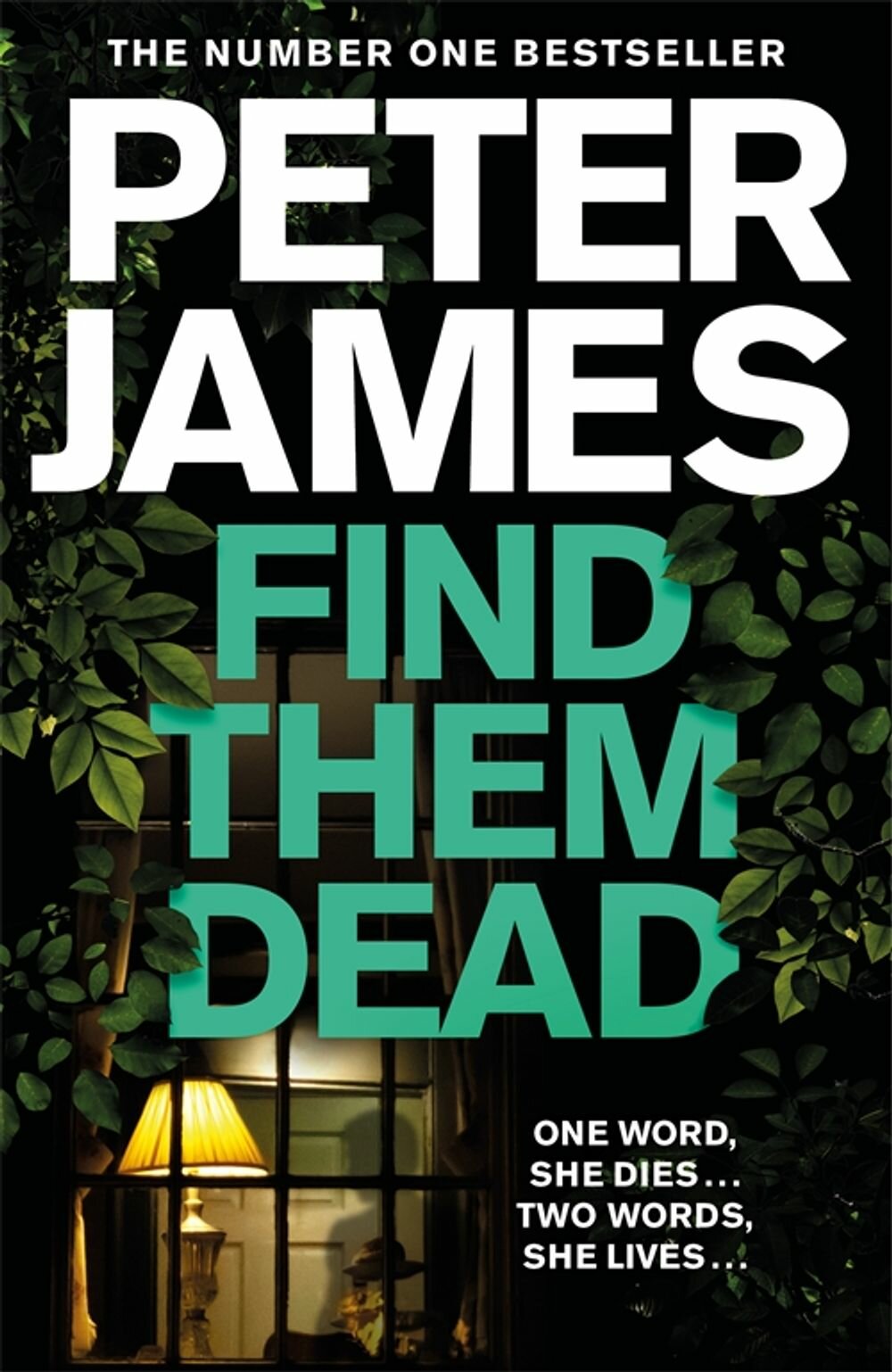 Find Them Dead / James Peter / Книга на Английском / Джеймс Питер - фото №1