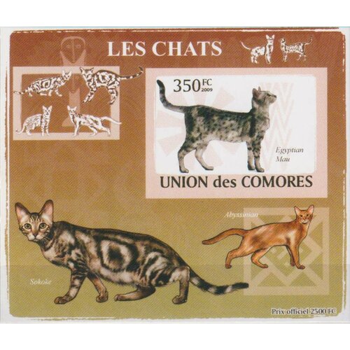 Почтовые марки Коморы 2009г. Породы кошек - Египетская мау люкс блок Кошки MNH