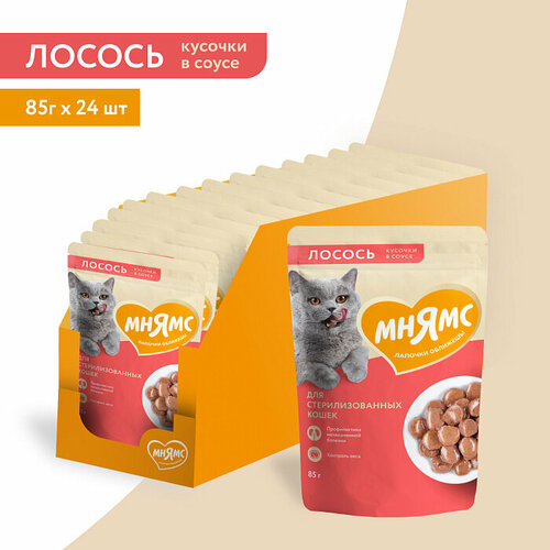 Влажный корм Мнямс Кусочки в соусе с лососем для стерилизованных кошек, 24 шт х 85 гр