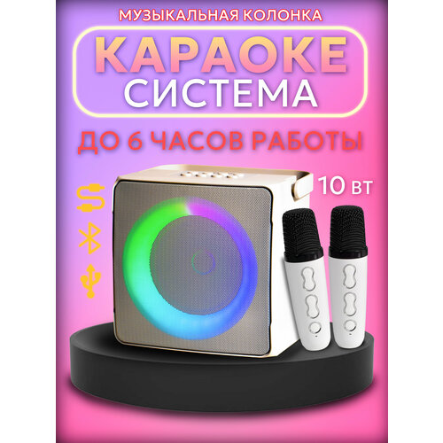 Караоке система SD-508 (белый), с двумя микрофонами