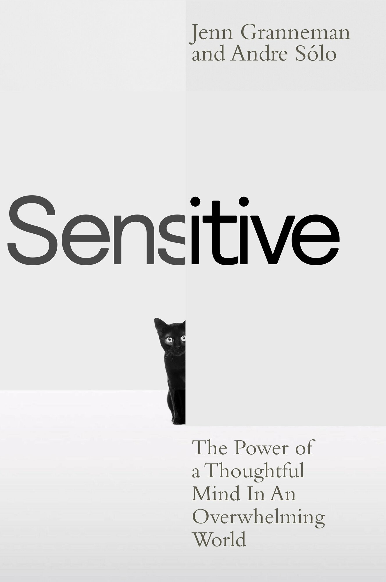 Sensitive. The Power of a Thoughtful Mind in an Overwhelming World - фото №1