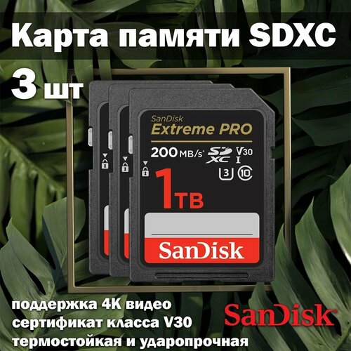 Карта памяти SanDisk Extreme PRO V30 SDXC 1TB 3 шт. sandisk карта памяти sdxc 1tb uhs i sdsdxxd 1t00 gn4in sandisk