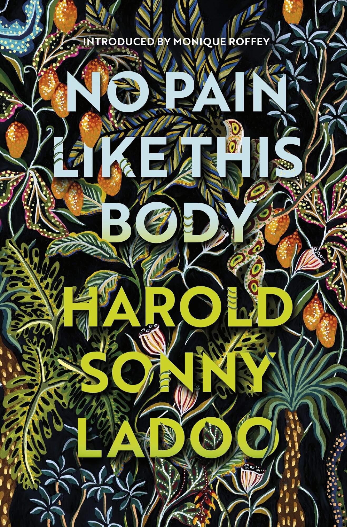 No Pain Like This Body (Ladoo Harold Sonny) - фото №1