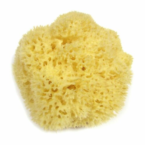 Натуральный спонж для тела / Hydrea London Honeycomb Sea Sponge S