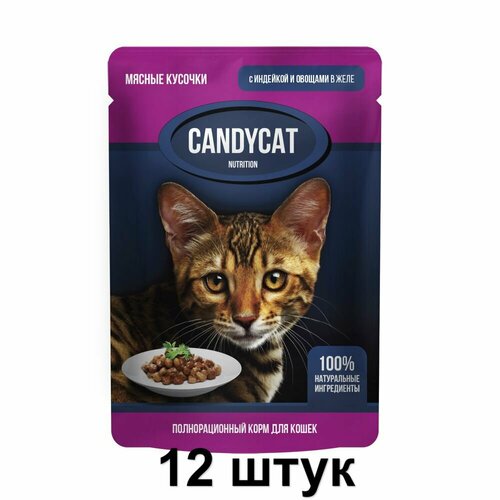 CandyCat Пауч для кошек, кусочки с Индейкой и овощами в желе, 85 г, 12 шт