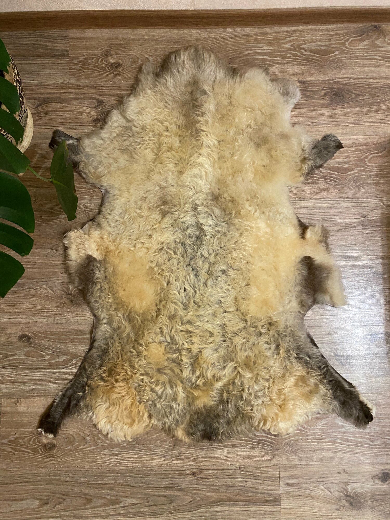 Шкура коврик меховой прикроватный овчина, длинный ворс 110х70 см.