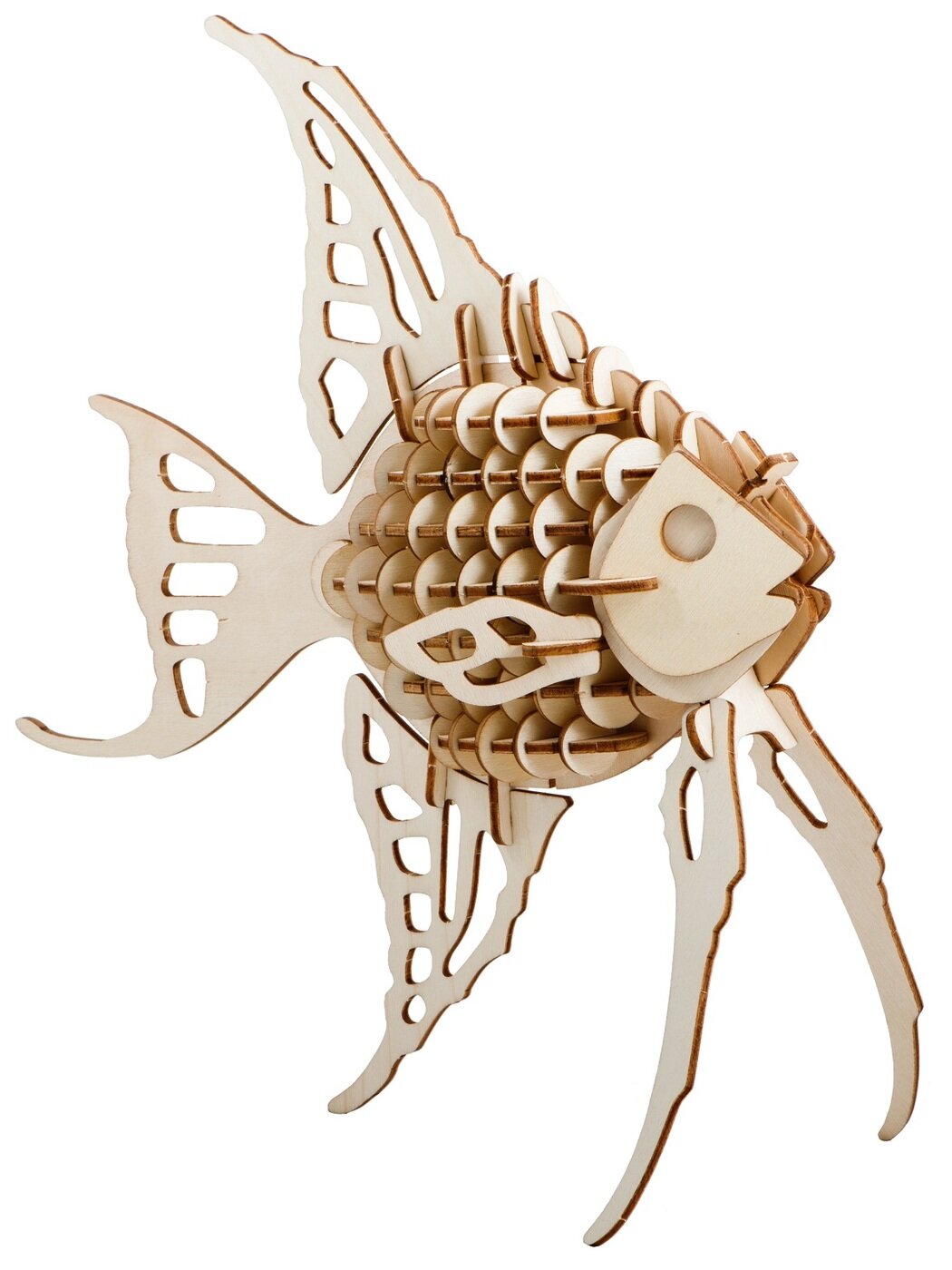 Сборная деревянная модель Wooden Toys Ангельская рыбка - фото №8