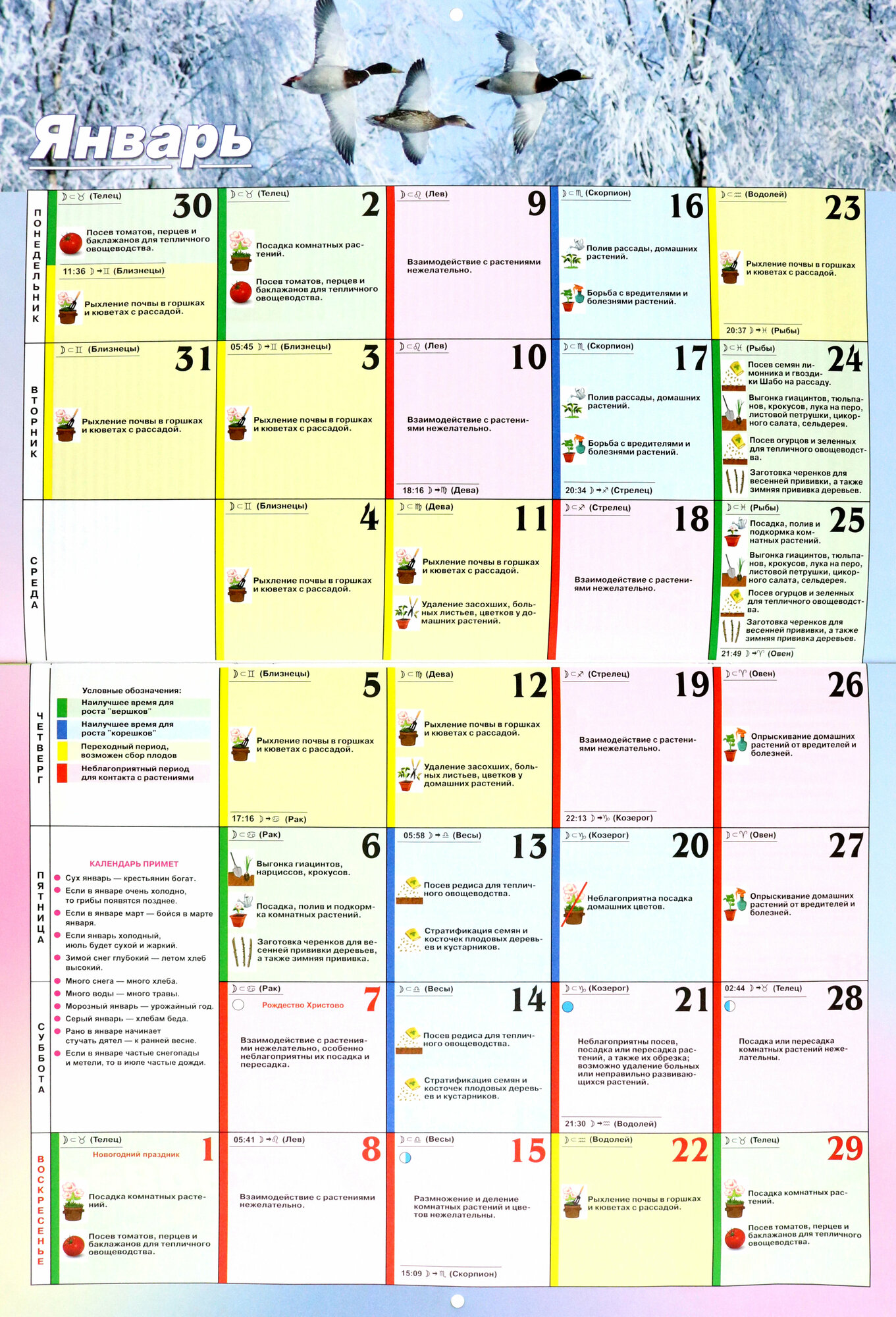 Календарь дачника и цветовода на каждый день 2023 - фото №2